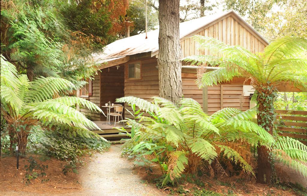 Bed & Breakfast Arcadia